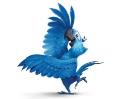 Попугай танцует под татарскую плясовую музыку