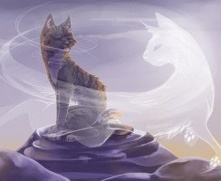 Загробный мир кошек: куда попадают души домашних животных после смерти с точки зрения разных религий