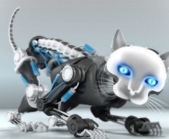 Бездушный робот против милого котика: кто победит