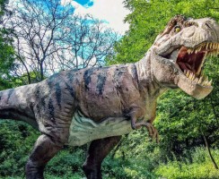 Самый кусачий: определено существо с сильнейшим укусом