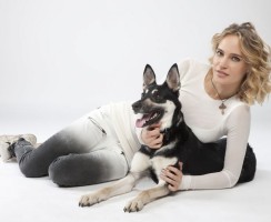 Собаки российских звезд: любимые питомцы