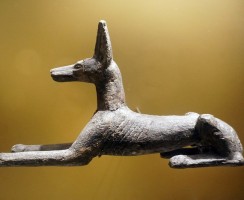 Самая первая порода собаки в мире: история появления